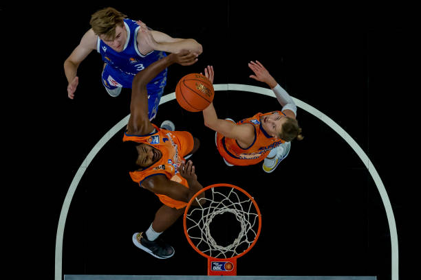 的灵活性 的灵活性